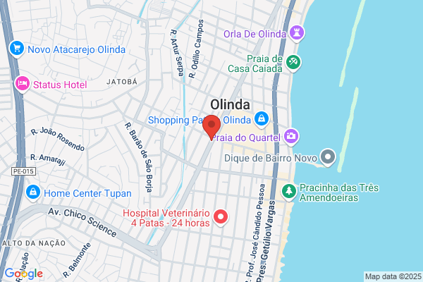 Olinda M Teixeira Marques