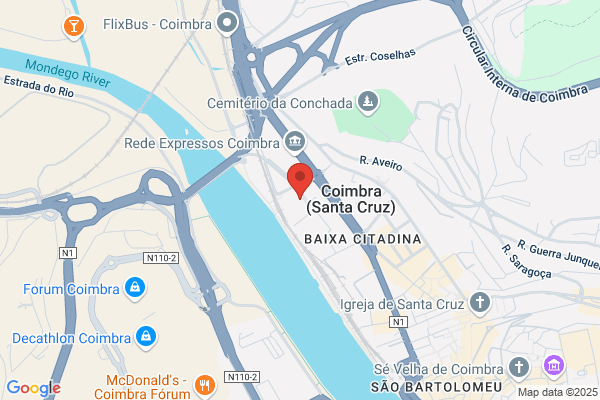 Elisabete M Rodrigues Gomes