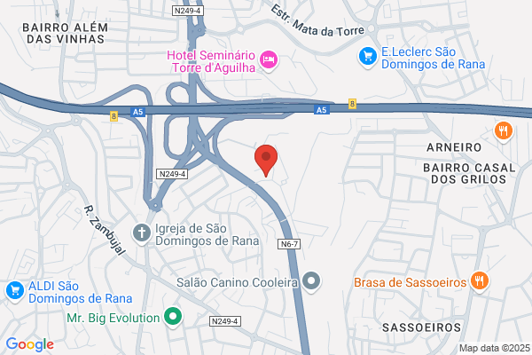Q I-Estrategia De Publicidade. Lda