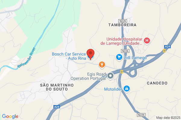 Bosch Car Service Auto Rina