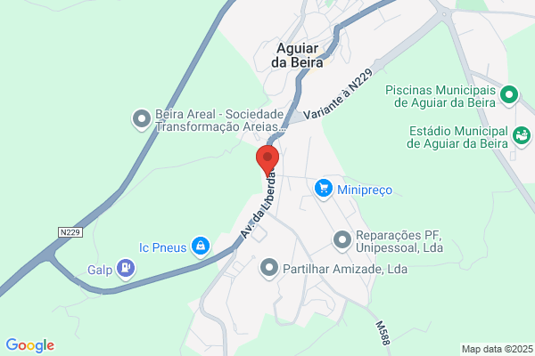 Rui M Aguiar Santos