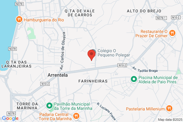 Helena C M Ferreira Jesus