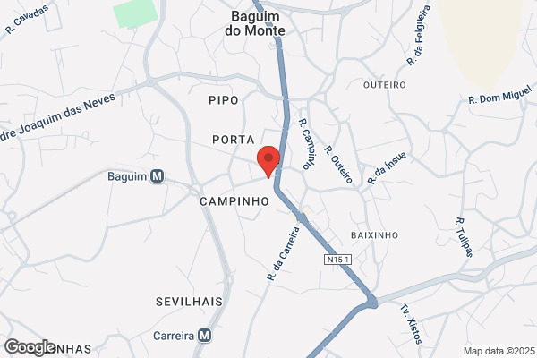 Adérito F Teixeira Marques