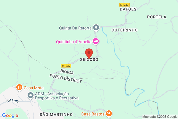 Adozinda A Moutinho Silva