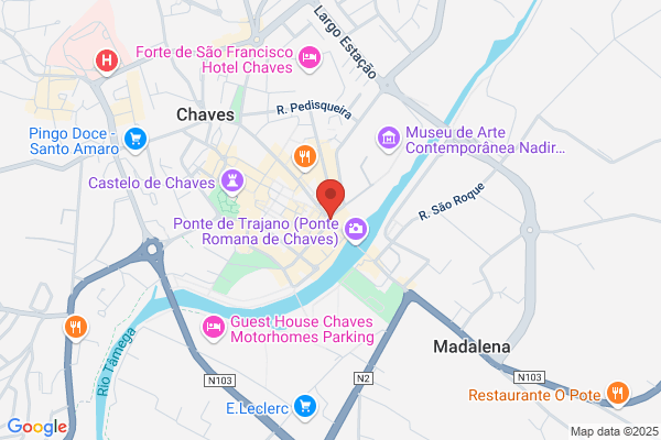 Rui F Gomes Machado