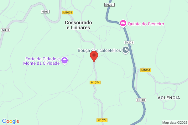Gabino Barbosa Da Silva & C. Lda