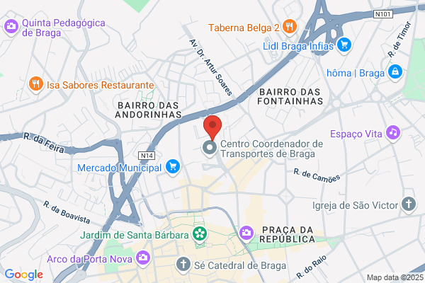 Domingos M Barbosa Silva