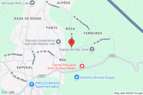 Sisenando E Campos Costa