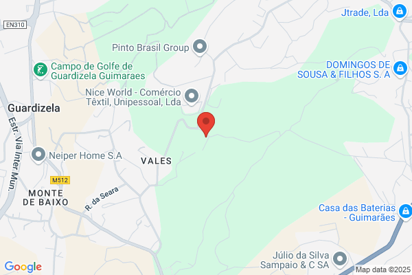 Carlos Jose Pereira Francisco