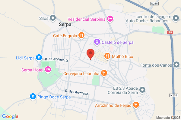 Maria Gabriela Prego Lira P S Arantes bica