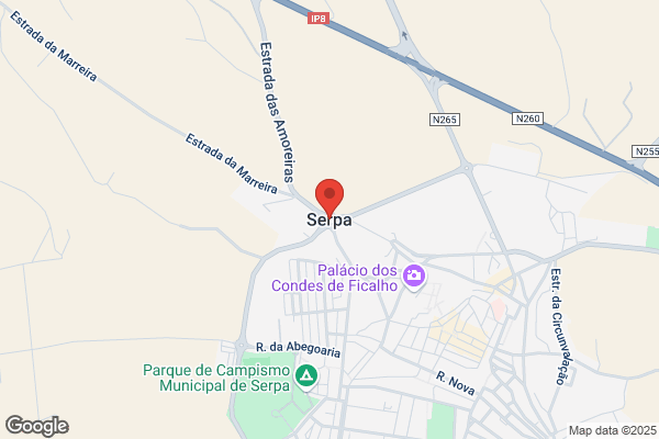 Salàchico Z