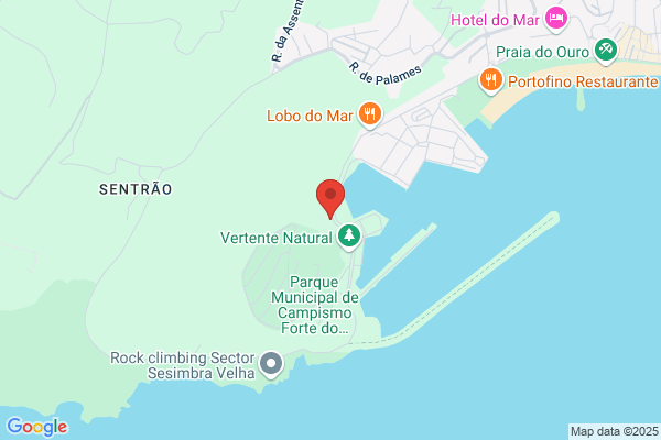 A Toca Do Leão