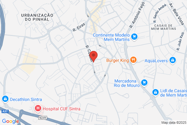 Acta Psiquiatrica Portuguesa
