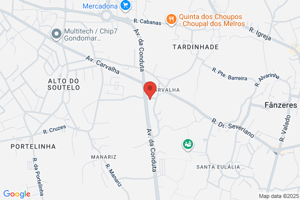 Rancho Folclco De Dans E Cantares As Farrapeirinhas De baguim Do monte