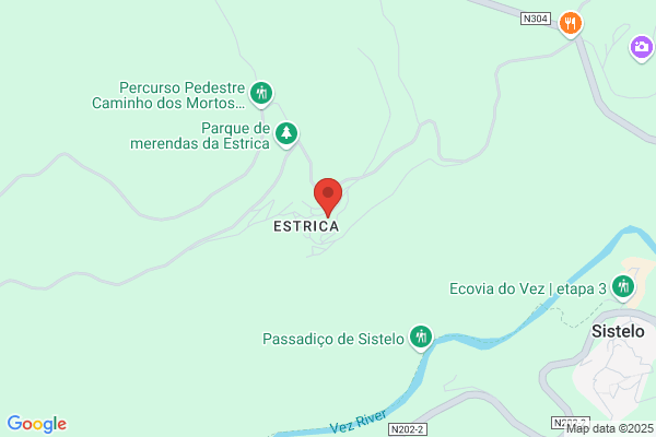 Maria A F Leite Sousa