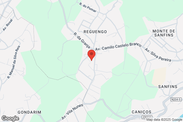 Hugo A J Ferreira Guerreiro