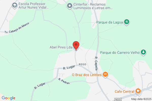 Abel Luís P Pires