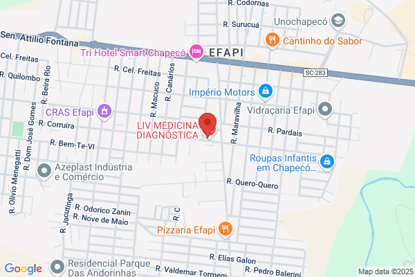 Mini-Mercado Teodoro