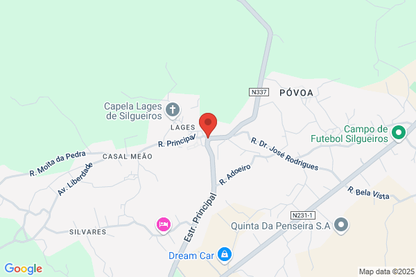 Conceiiao De Campos Ferreira