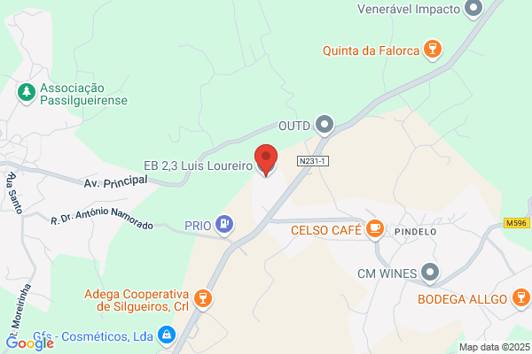 Elvira M D C Freitas Sousa