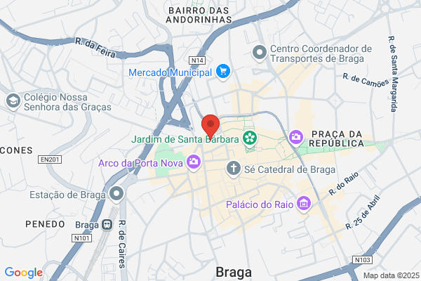 Ana R S B Braga Costa