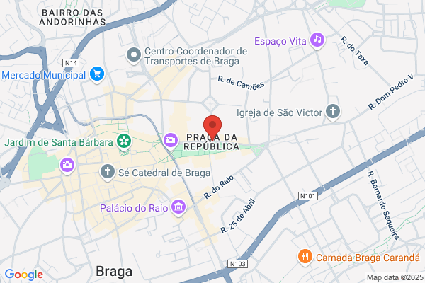 Arminda M Braga Melo