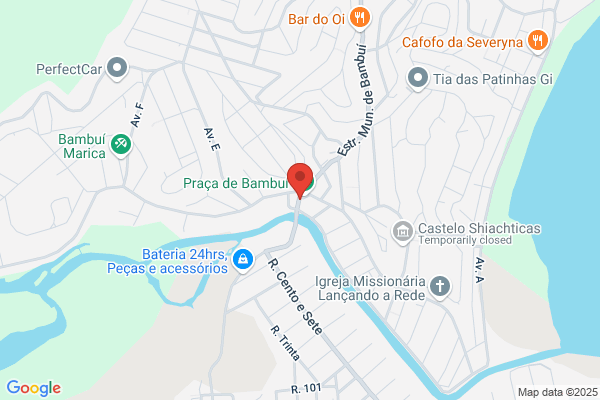 Domingos M Barbosa Silva
