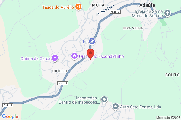 Agostinho Costa Ribeiro