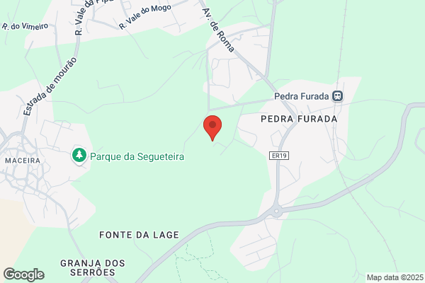 Rute Duarte