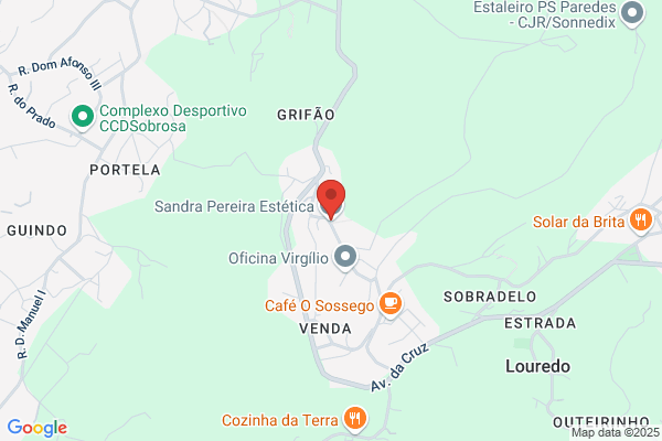 Sandra M M Pereira Cruz
