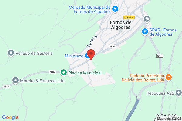 Delfim Ruivinho Lda