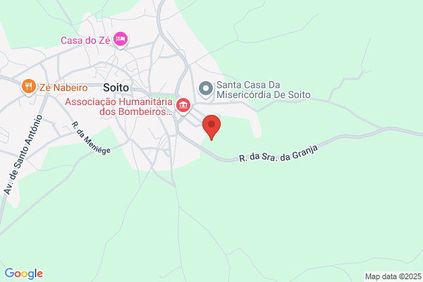 Dulce Geraldes
