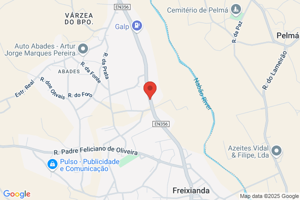Herdeiros De Anto Saraiva Pinto