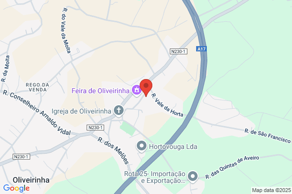 Carlos Ricardo S Soares