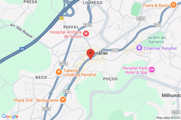 Paula M A A Fonseca Carvalho