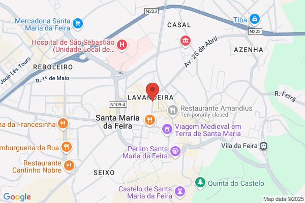 Carina A M Neves Silva