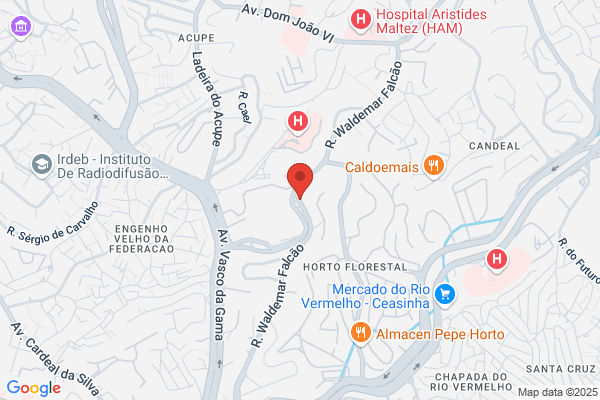 Pedro M S Rodrigues Almeida