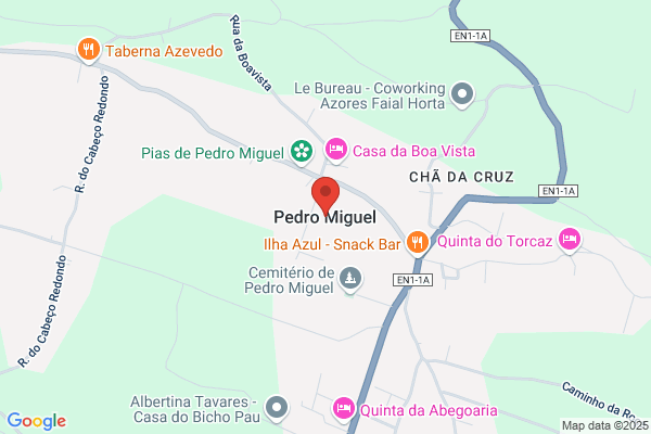 Pedro Miguel Castro