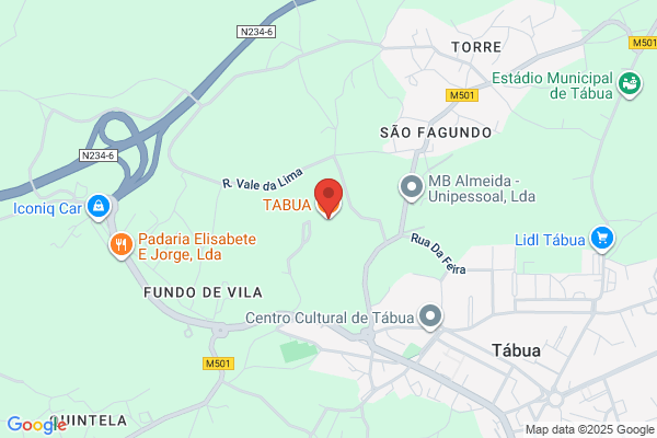 José Da Silva Tavares Dos Reis Lda