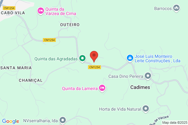 Lues Pinto-Caixas Registadoras E Pos