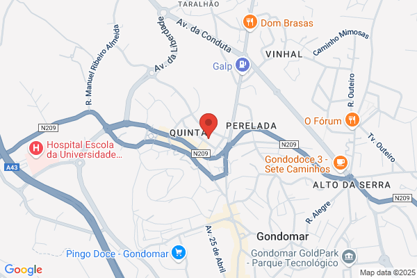 António A Silva Carneiro