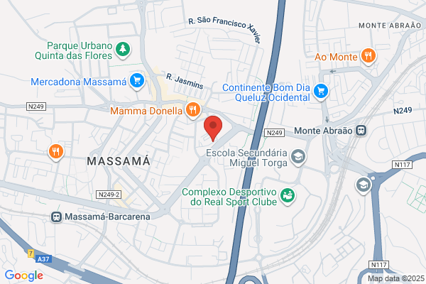 Delminda Vicente G Santos