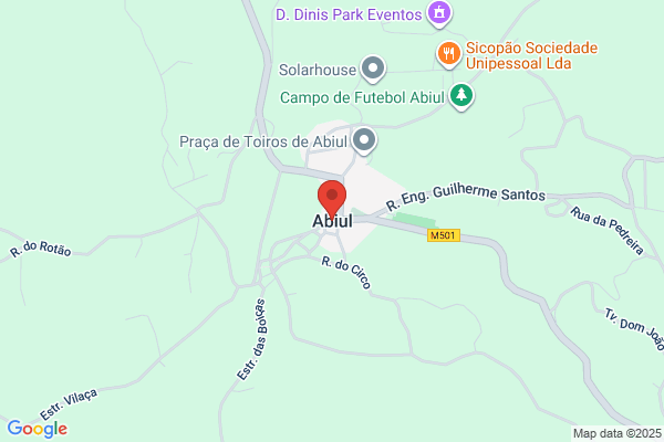 Emio Lopes Ferreira
