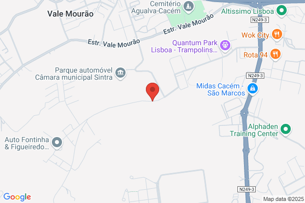 Empresa De Transportes Manuel Henriques Machado Lda