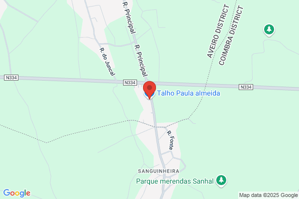 Paula C Faria Almeida