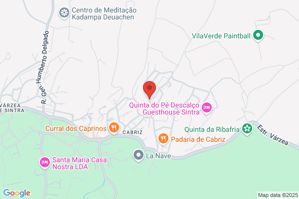 E Coelho Da Silva