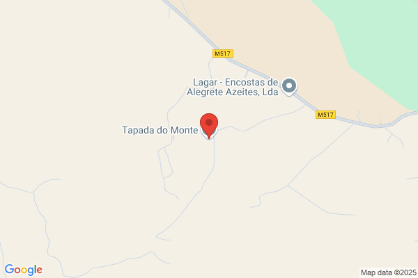 Fátima C Montes Graniço