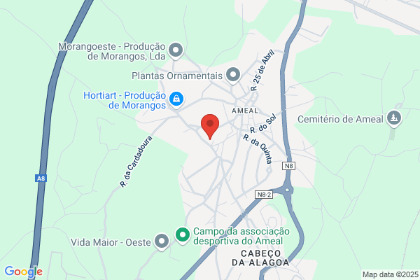 Fél Execuï-Manutenï E Reparaï Auto Lda