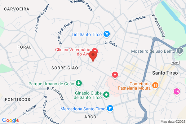 Radio Voz De Santo Tirso