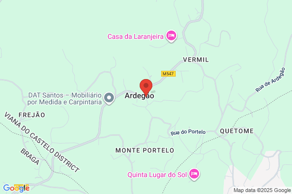 Jose Manuel Alves De Pinho